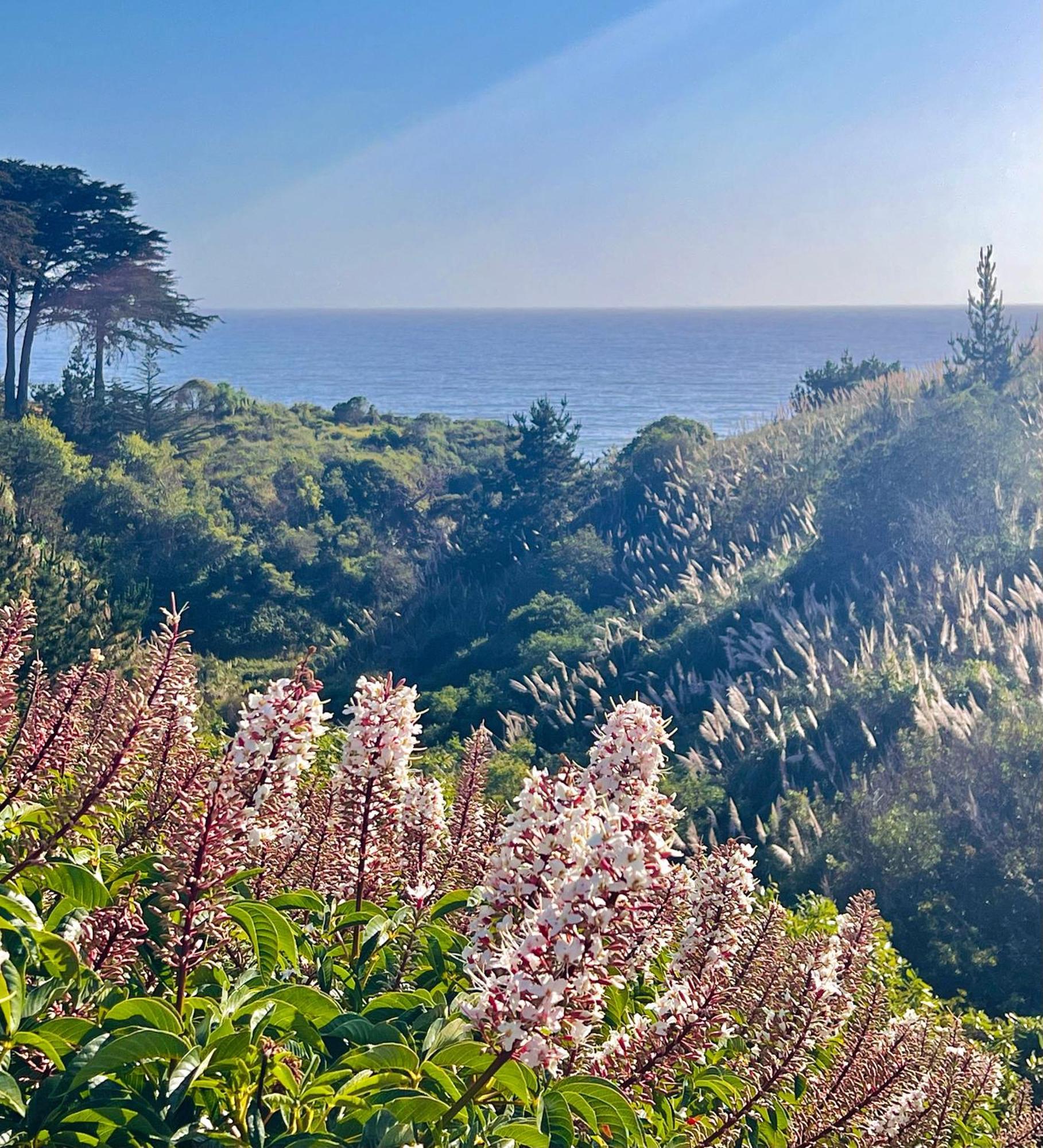 Royal Villa - Ocean View - Heated Pools - Seascape'S Best 1 Bedroom - 3 Beds - End Unit Aptos Εξωτερικό φωτογραφία